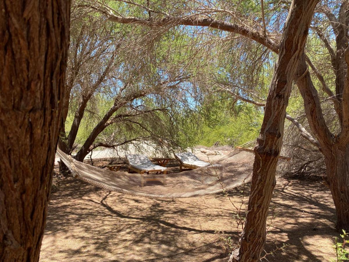 El Huarango Eco Retreat Βίλα La Huaica Εξωτερικό φωτογραφία