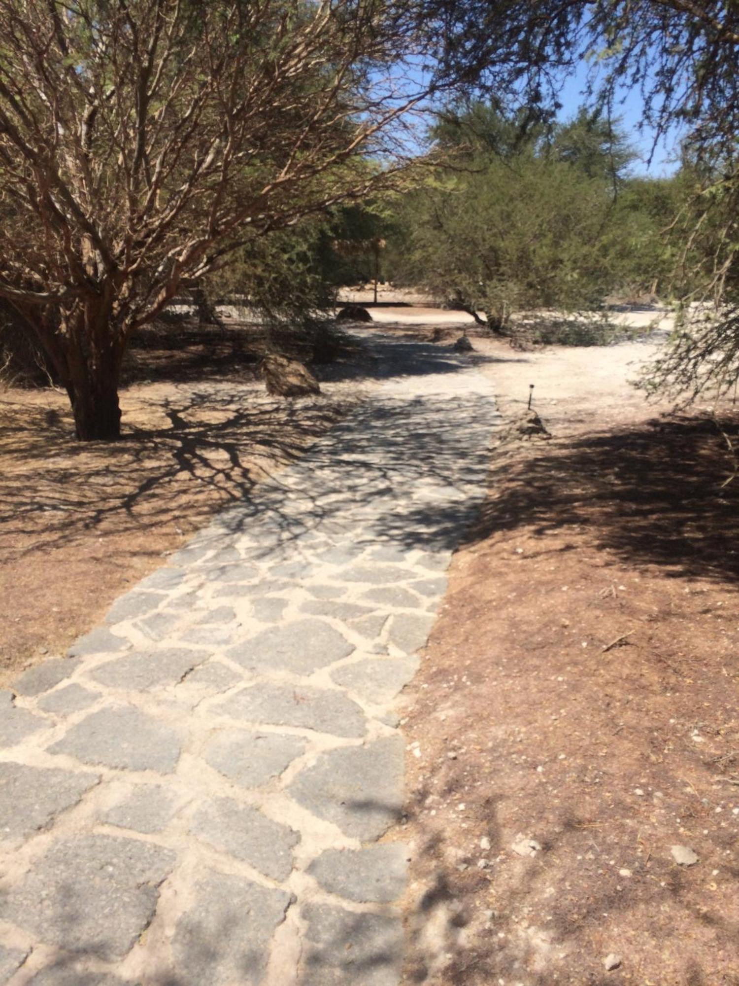 El Huarango Eco Retreat Βίλα La Huaica Εξωτερικό φωτογραφία