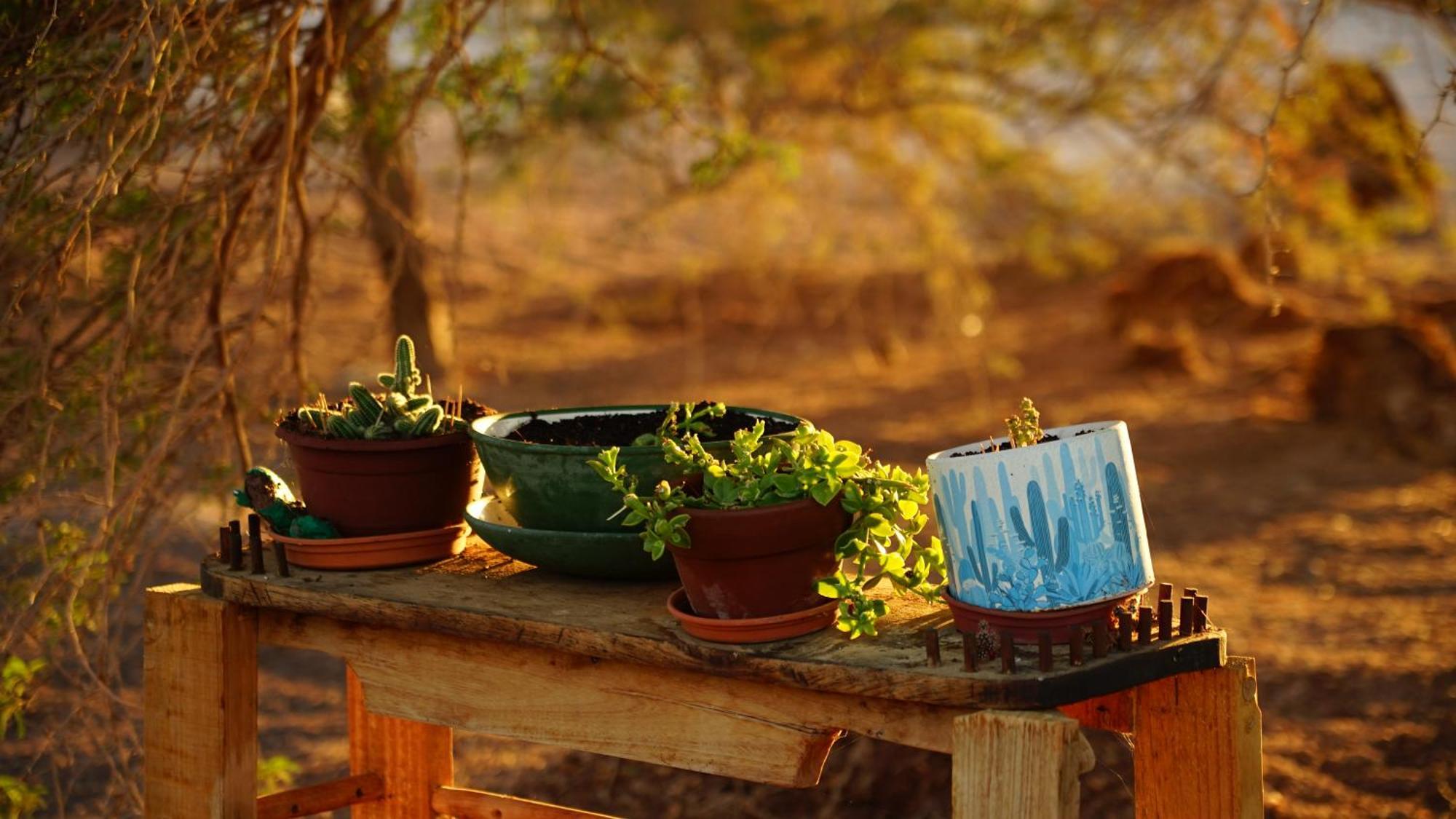 El Huarango Eco Retreat Βίλα La Huaica Εξωτερικό φωτογραφία